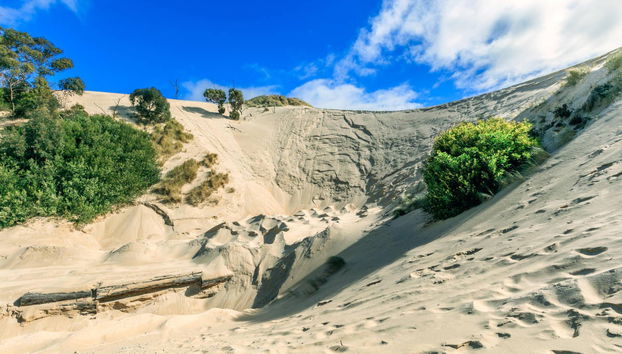 Excursión privada desde Perth - Foto 2