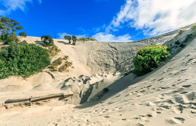 Escursione privata da Perth - Foto 2