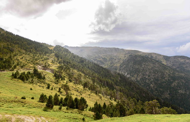 Tour por Pal y Coll de la Botella - Foto 3