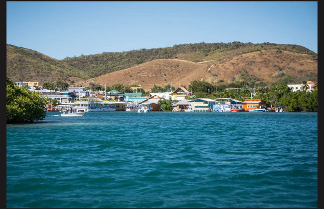 La Parguera Snorkelling - Photo 3