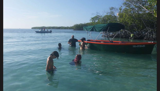 Tour privato in barca nella baia bioluminescente - Foto 3