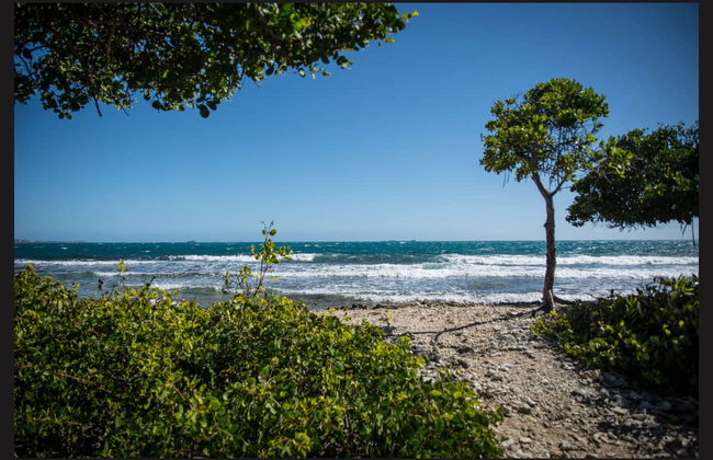 La Parguera Snorkelling - Photo 2