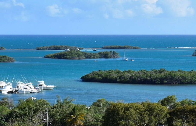 Paseo privado en barco por la bahía bioluminiscente - Foto 4