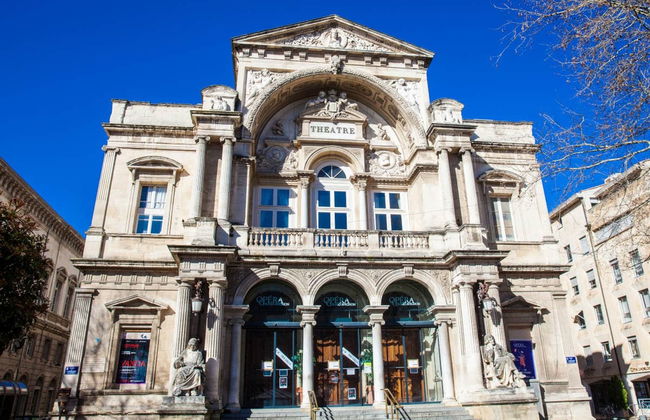 Visita guiada por Aviñón y el Palacio Papal - Foto 5