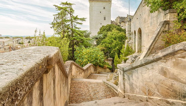 Visita guiada por Aviñón y el Palacio Papal - Foto 4