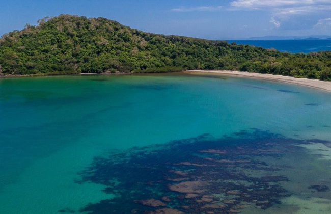 Tour pelo Daintree National Park - Foto 9