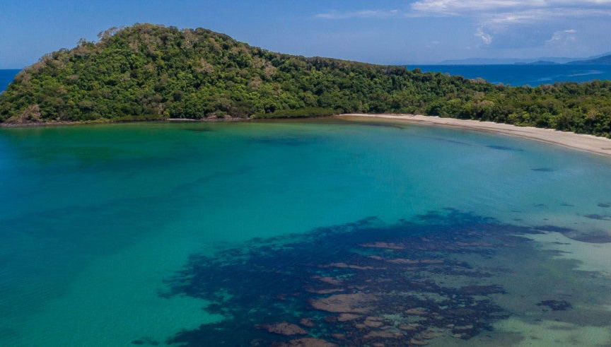 Daintree National Park Tour