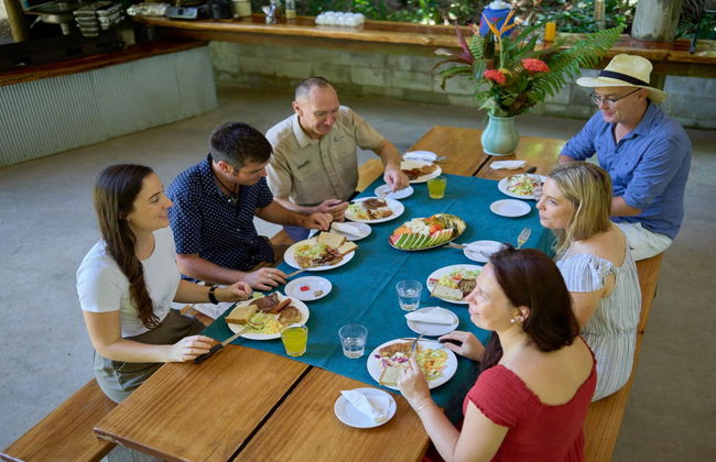 Tour pelo Daintree National Park - Foto 6