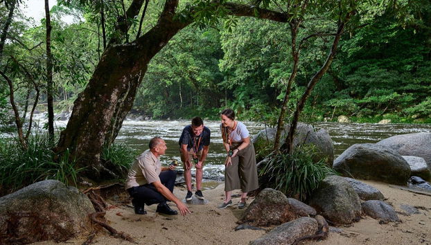 Daintree National Park Tour - Photo 2