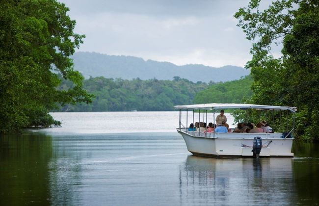 Tour pelo Daintree National Park - Foto 5