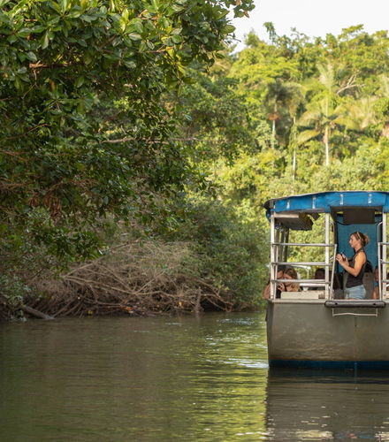 Foto de Excursión a Daintree, Mossman Gorge y Cape Tribulation