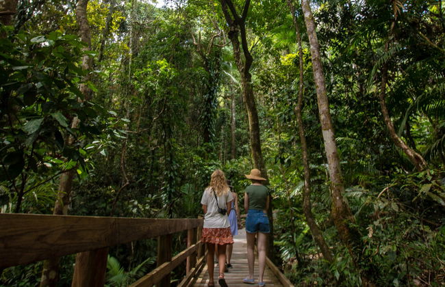 Daintree National Park Tour - Photo 6