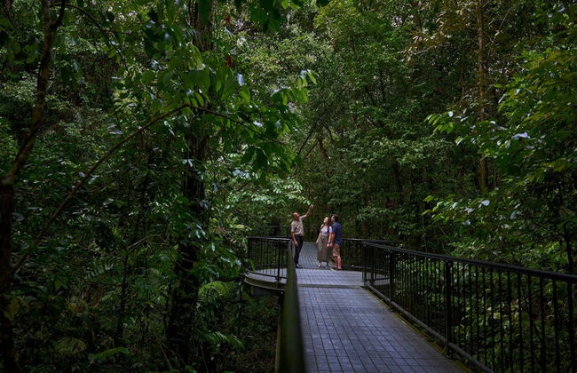 Tour pelo Daintree National Park - Foto 3
