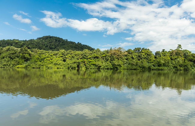 Daintree National Park Tour - Photo 4