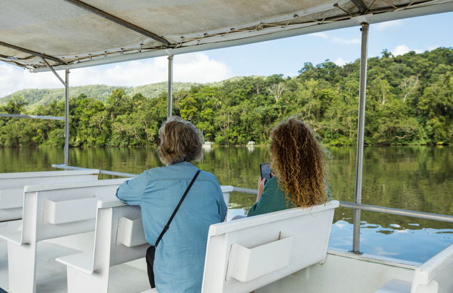 Daintree National Park Tour - Photo 2