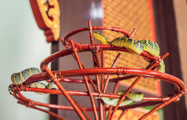 Visite privée de Penang - Photo 6