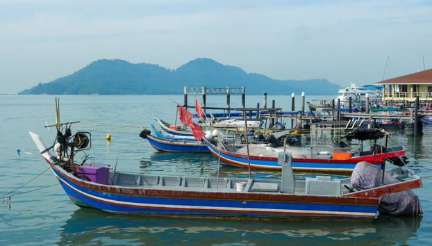 Private Penang Island Tour - Foto 5