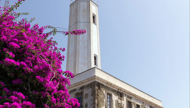 Excursion à Vulcano, Stromboli et Panarea - Photo 4