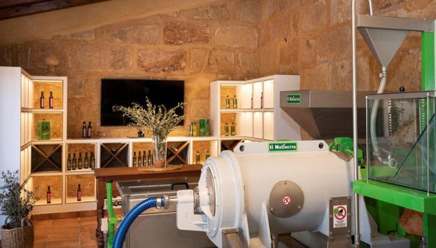 Visita a la finca LA Organic con cata de aceite - Foto 4