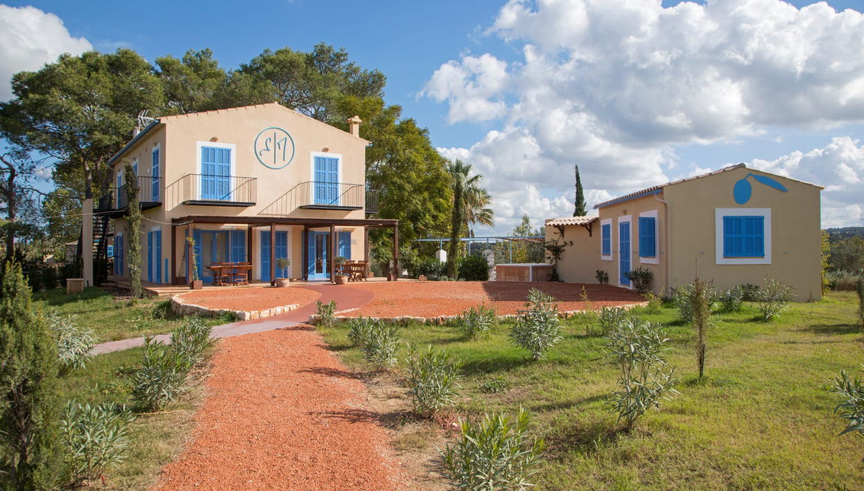 Visita a la finca LA Organic con cata de aceite - Foto 1