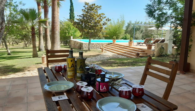 Visita a la finca LA Organic con cata de aceite - Foto 3