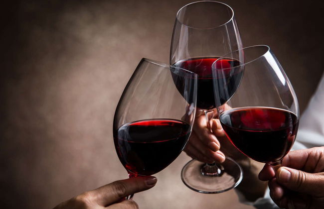 Visita a las bodegas Montecillo - Photo 3