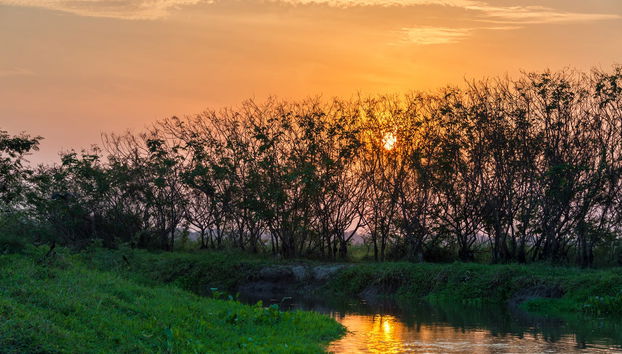 Mompox Private Sunset Cruise - Foto 2