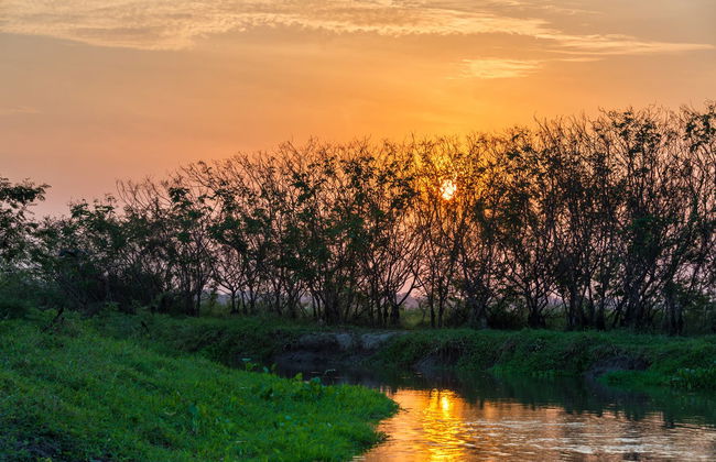 Mompox Private Sunset Cruise - Foto 2