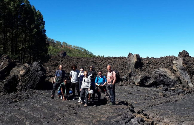 Chinyero Volcano Hiking Tour - Foto 4