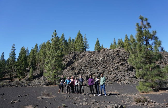 Chinyero Volcano Hiking Tour - Foto 1