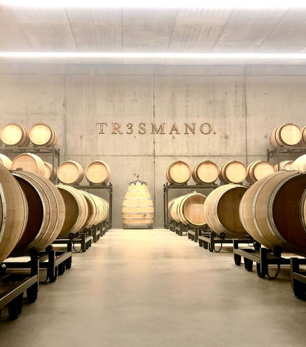 Foto de Visita a la bodega Tr3smano
