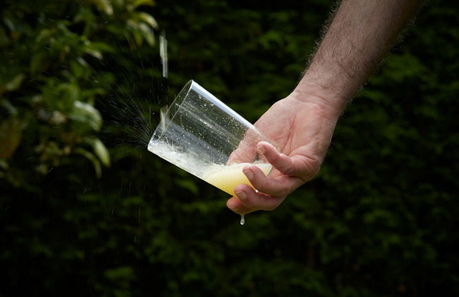 Visita al llagar Sidra JR - Photo 7