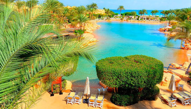 Excursion à la Mer Rouge - Photo 4