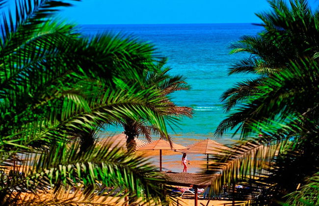 Excursion à la Mer Rouge - Photo 1