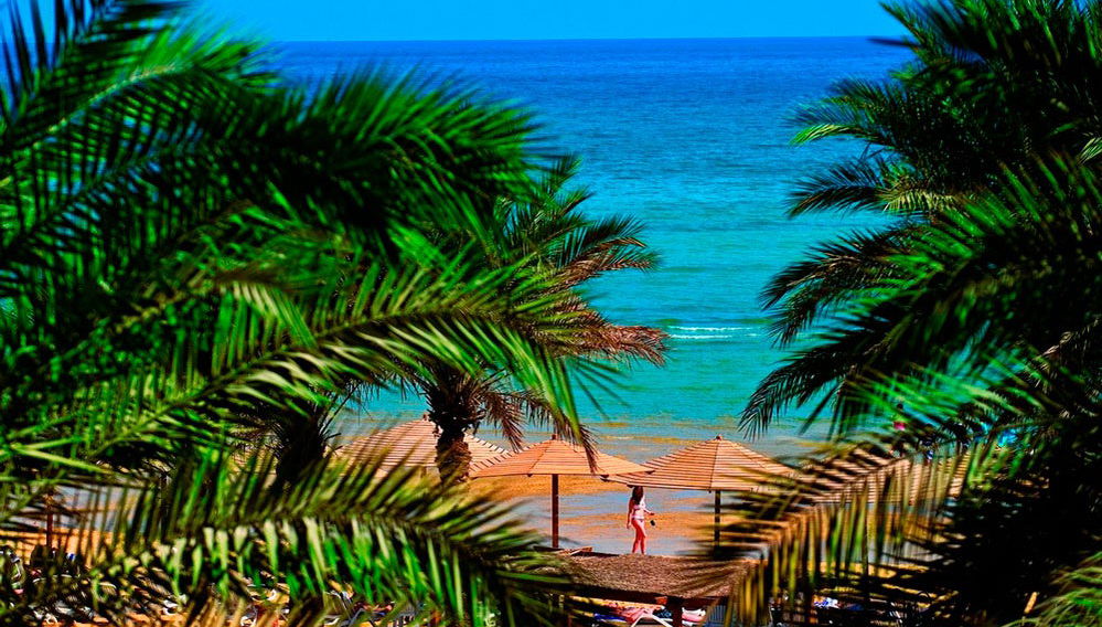 Excursion à la Mer Rouge - Photo 1