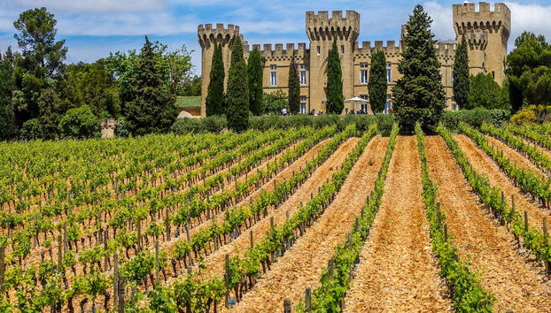 Provence Day Trip - Foto 3