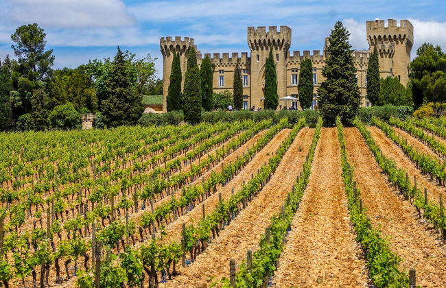 Pont du Gard, Les Baux, Avignon et Châteauneuf du Pape - Photo 3