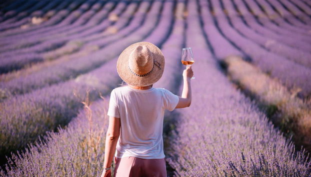 Excursão aos campos de lavanda por Valensole e Moustiers-Sainte-Marie - Foto 5