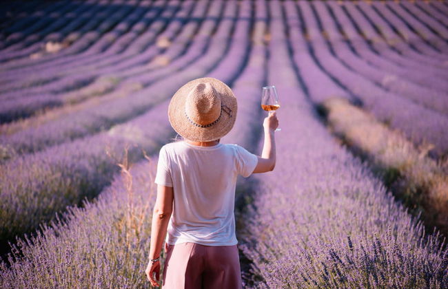 Pont du Gard, Les Baux, Avignon et Châteauneuf du Pape - Photo 7