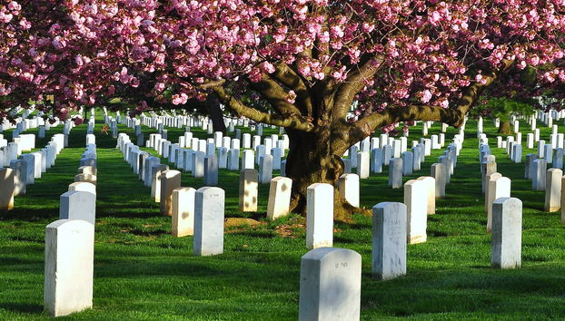 Arlington Cemetery & DC War Memorials Tour - Photo 5