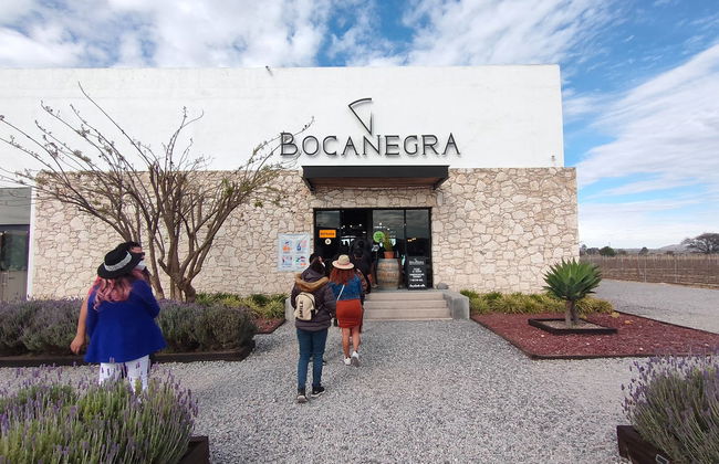 Degustación de vinos en la bodega Freixenet + Cata de quesos en Cava Bocanegra - Foto 3