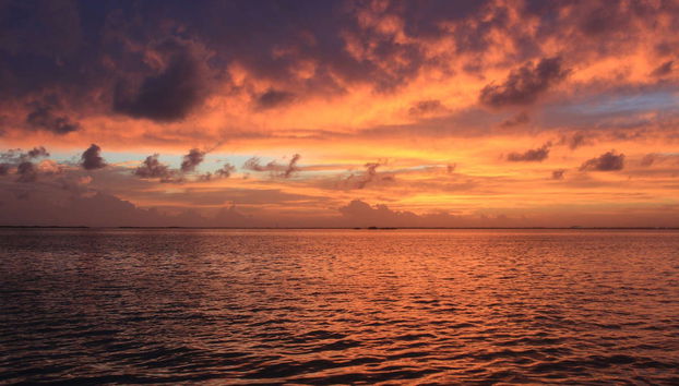 Cancun Dinner Cruise - Foto 5