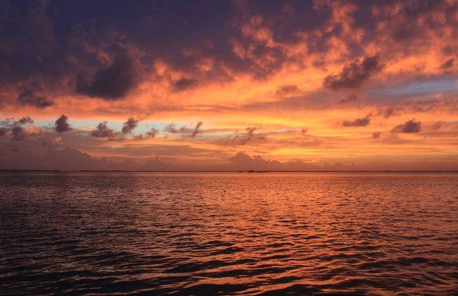 Cancun Dinner Cruise - Foto 5