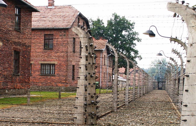 Excursión privada a Auschwitz-Birkenau - Foto 6
