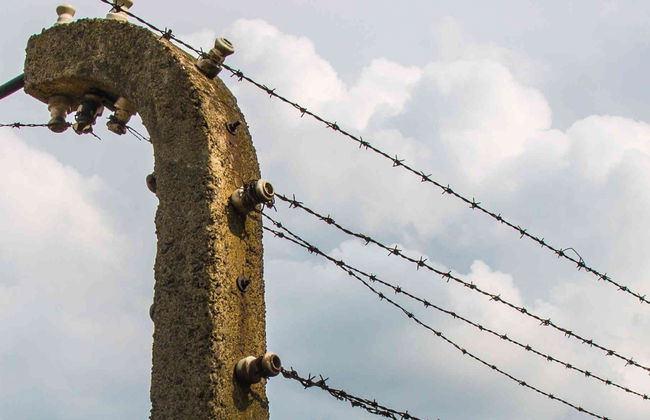 Excursión privada a Auschwitz-Birkenau - Foto 8