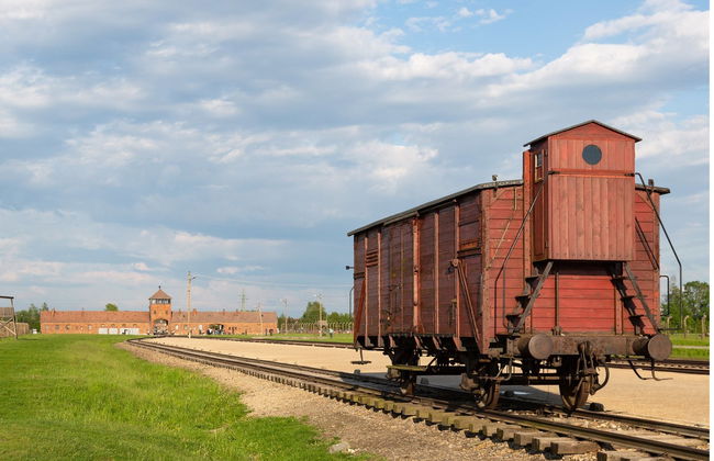Excursión privada a Auschwitz-Birkenau - Foto 3