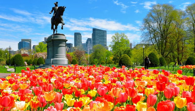 Visita guiada por Boston - Foto 5