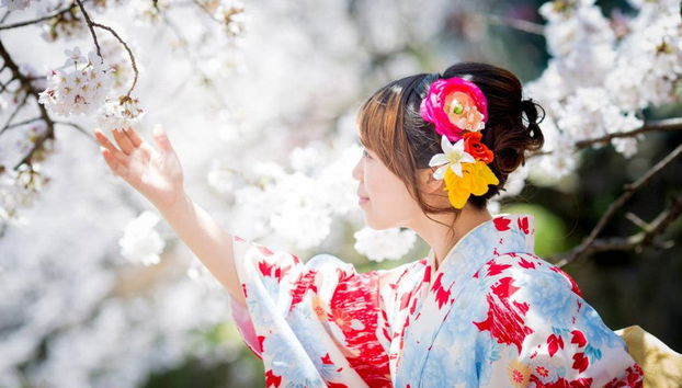 Location de kimono traditionnel - Photo 3