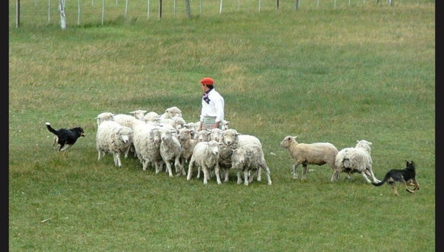 Excursión a la Estancia El Galpón - Foto 3