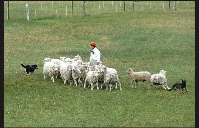 Excursión a la Estancia El Galpón - Foto 3
